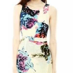 Charlie Jade Silk Floral Asymmetrical Dress